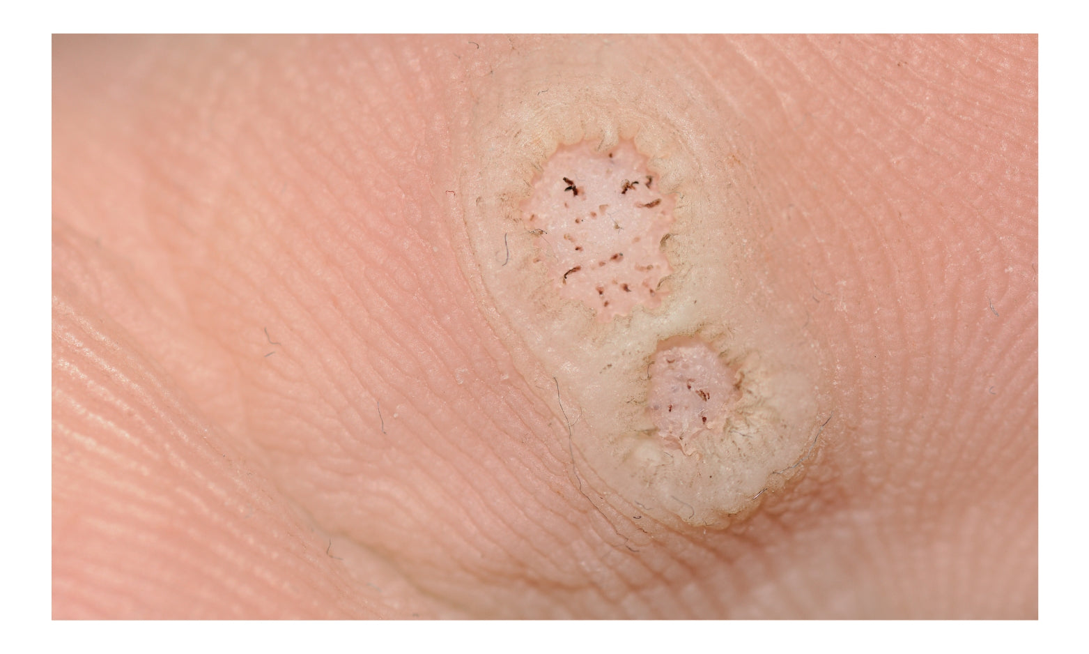 Chicago Cosmetic Surgery & Dermatology